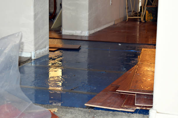 Professional Flood Cleanup technician working in Albany, IN